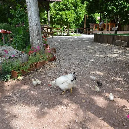Yakamoz Semesterpark Olympos